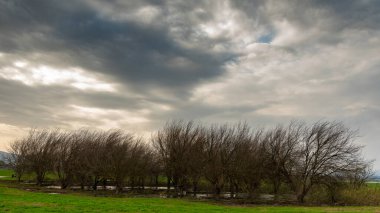 İsrail 'in kuzeyindeki doğa koruma alanında yağmurlu bir gün.