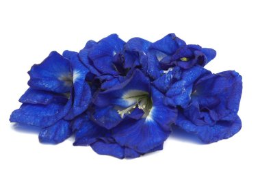 Çay için taze bezelye çiçeği fotoğrafı..