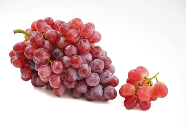 Photo Red Grapes Seeds — Stock Photo, Image