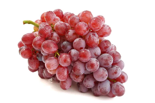 Photo Red Grapes Seeds — Stock Photo, Image