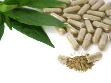 Ateş için kapsül tıbbında Andrographis