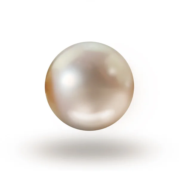 Pearl isolerad på vit — Stockfoto