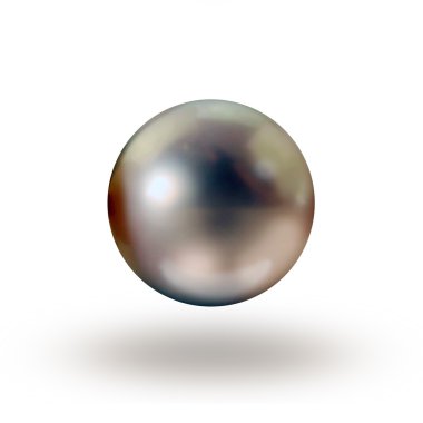 Pearl on white clipart