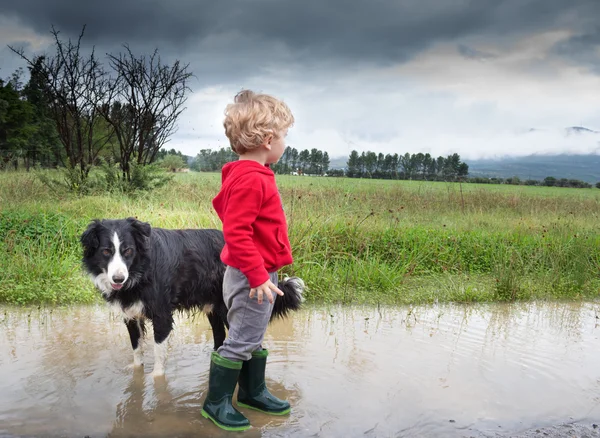Мальчик и собака в луже — стоковое фото