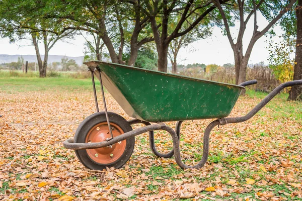 Oude kruiwagen op herfst bladeren — Stockfoto