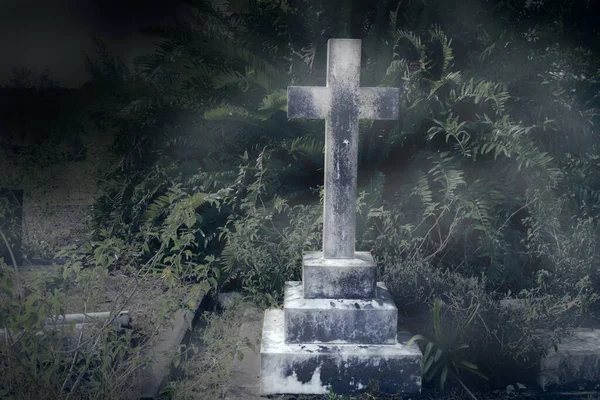 Надгробный Камень Захудалом Кладбище Тропическими Растениями Виноградниками Крест Могильный Камень — стоковое фото