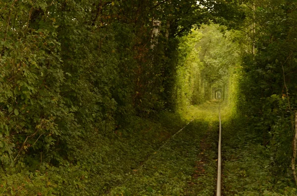 In the Tunnel of Love — Stock Photo, Image