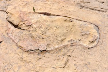 Inca ayak izi Isla de evlat Bolivya Titikaka Gölü üzerinde