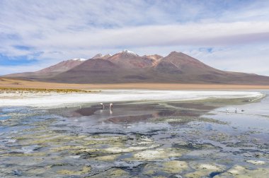 Renkli lagün yüksek and Yaylası, Bolivya