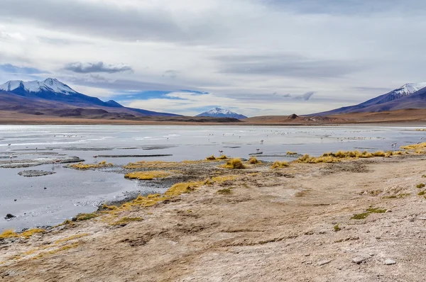 在高的安第斯高原，玻利维亚的多彩泻湖 — 图库照片
