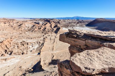 Çakal rock Şili Atacama Çölü'nde