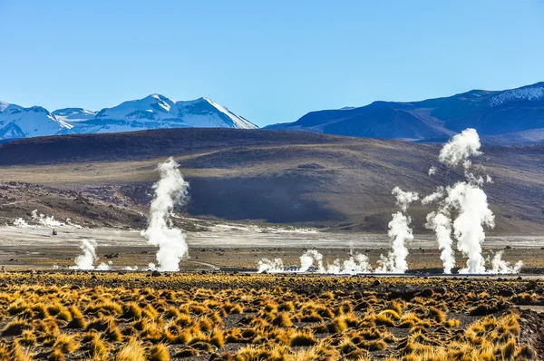 Atacama Çölü, Şili'deki Tatio Geysers