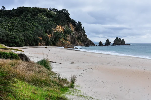 Cathedral Cove Beach in the Coromandel Peninsula, New Zealand — Stock Photo, Image