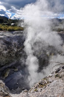 Rotorua yakınlarındaki Wai-o-tapu jeotermal alanda çıkan buhar