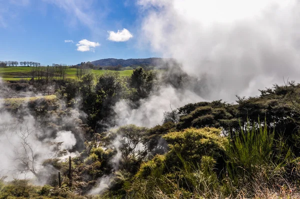 Vapor desde tierra la zona geotérmica de Wai-o-tapu, cerca de Rotor — Foto de Stock