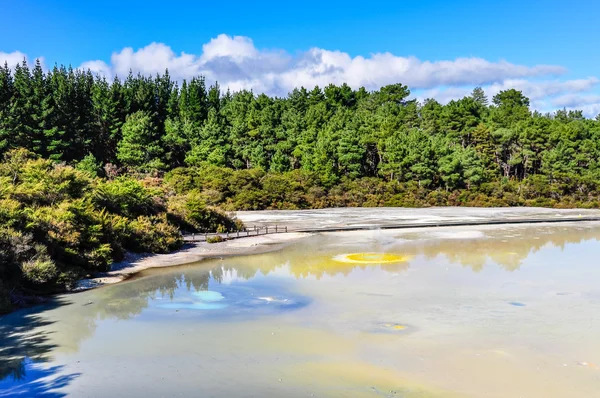 Die Palette des Künstlers im geothermischen Wai-o-tapu-Gebiet, in der Nähe von Fäulnis — Stockfoto