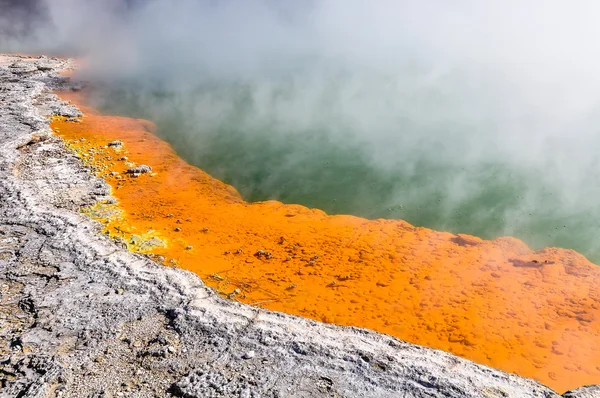 Piscina Champange nella zona geotermica di Wai-o-tapu, vicino a Rotorua , — Foto Stock