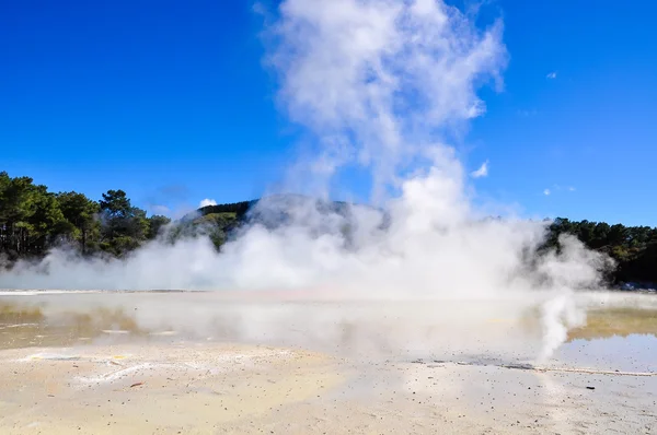 Géiseres en la zona geotérmica de Wai-o-tapu, cerca de Rotorua, Nueva Zea — Foto de Stock