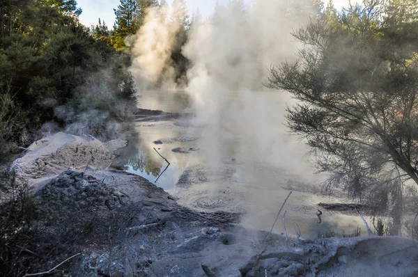 Piscina de lama na área geotérmica de Wai-o-tapu, perto de Rotorua, Novo Ze — Fotografia de Stock