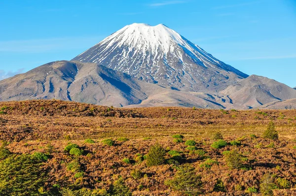 Uitzicht op Mount Ngarahoe in het Tongariro National Park, nieuwe ijver — Stockfoto