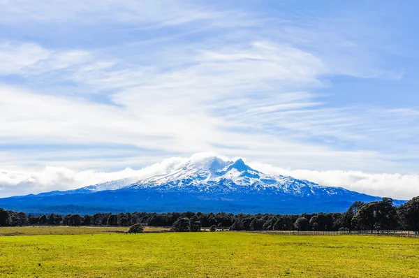 Weergave van Mount Ruapehu, Nieuw-Zeeland — Stockfoto