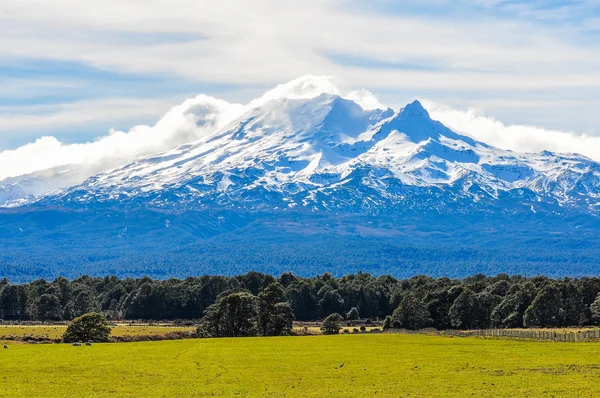 Vista del Monte Ruapehu, Nueva Zelanda —  Fotos de Stock