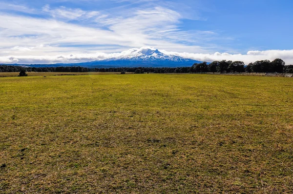 Blick auf den Mount Ruapehu, Neuseeland — Stockfoto