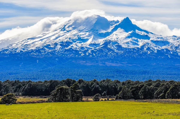 Weergave van Mount Ruapehu, Nieuw-Zeeland — Stockfoto