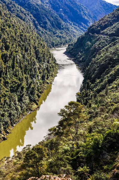Uitzicht op de rivier in Whanganui National Park, Nieuw-Zeeland — Stockfoto