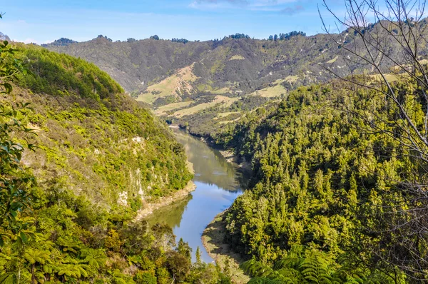 Vista del río en el Parque Nacional Whanganui, Nueva Zelanda — Foto de Stock