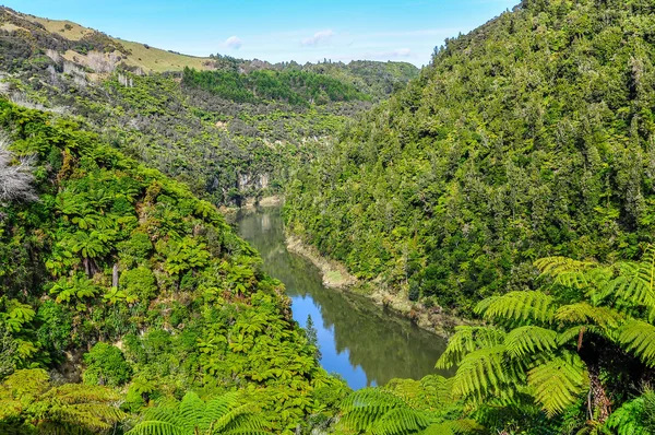 ファンガヌイ国立公園、ニュージーランドの川の景色 — ストック写真