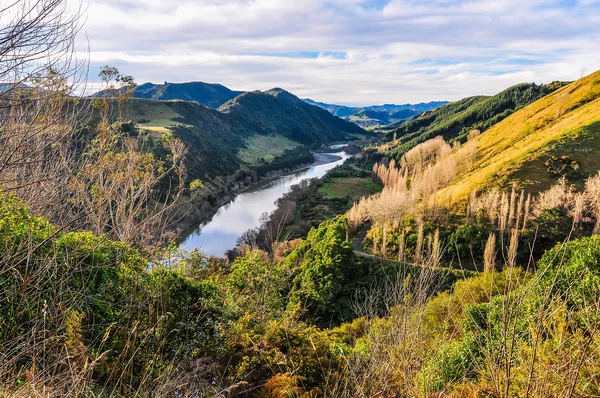 Fiume e foresta nel Parco Nazionale di Whanganui, Nuova Zelanda — Foto Stock