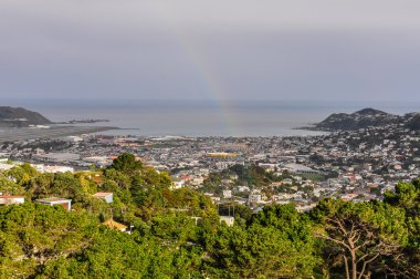 Bay Wellington, Yeni Zelanda görünümünü