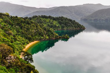 Görünüm koylarından: Kraliçe Charlotte Road, İngiltere