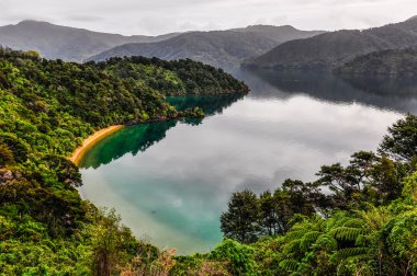 Görünüm koylarından: Kraliçe Charlotte Road, İngiltere
