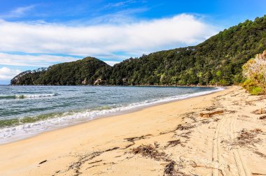 Bark Bay in Abel Tasman Ulusal Parkı, Yeni Zelanda