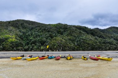 Sel Bay Abel Tasman Ulusal Parkı, Yeni Zelanda
