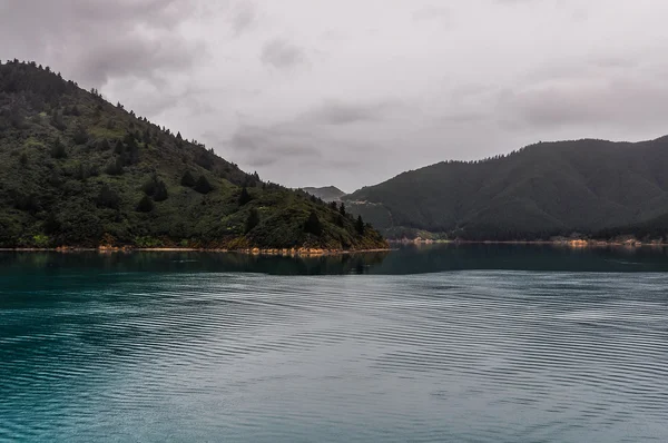 Veduta dei suoni in Queen Charlotte Road, Nuova Zelanda — Foto Stock