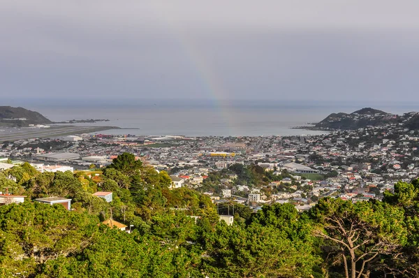 Uitzicht op de baai, Wellington, Nieuw-Zeeland — Stockfoto