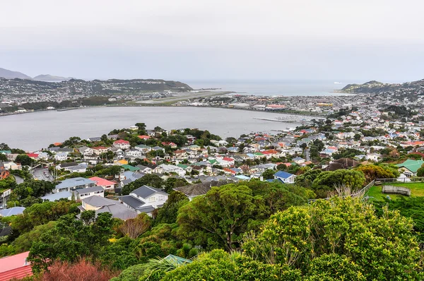 Uitzicht op de baai, Wellington, Nieuw-Zeeland — Stockfoto