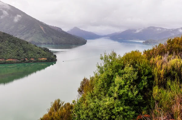 Vista de los sonidos en Queen Charlotte Road, Nueva Zelanda — Foto de Stock