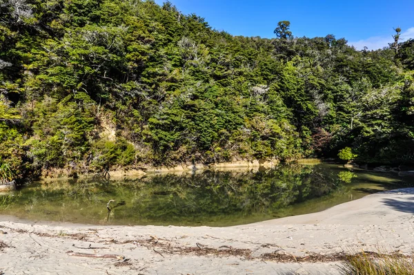 Mała plaża w Abel Tasman National Park, Nowa Zelandia — Zdjęcie stockowe