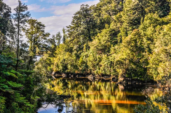 Lagoa escondida no Parque Nacional Abel Tasman, Nova Zelândia — Fotografia de Stock