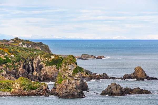 沿海的风景在新西兰海角福尔温 — 图库照片