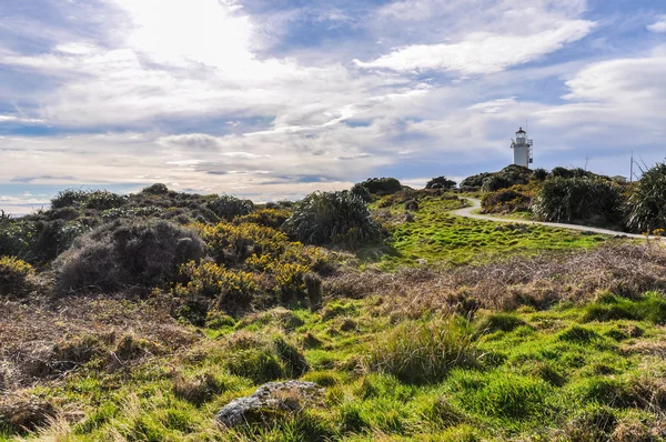 Leuchtturm am Kap, Neuseeland — Stockfoto