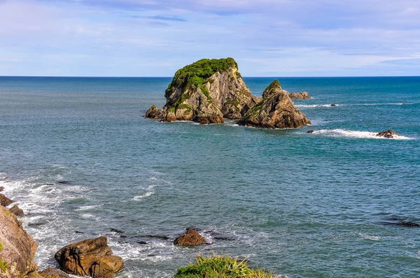 沿海的风景在新西兰海角福尔温 — 图库照片