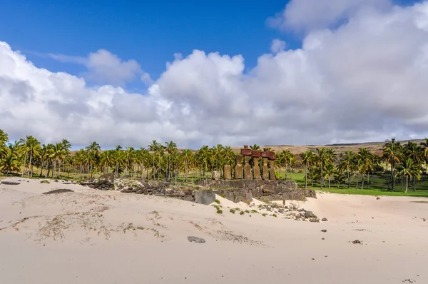 Moais en la playa de Anakena en Isla de Pascua, Chile — Foto de Stock