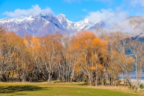 Farbenfrohe Landschaft im glorreichen Neuseeland — Stockfoto