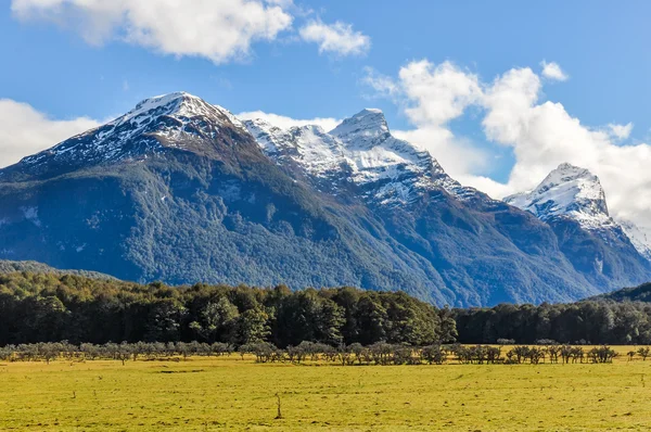 Alpine Landschaft in glenorchy, Neuseeland — Stockfoto