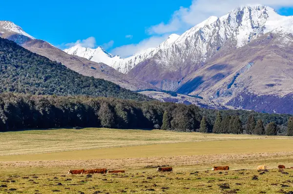 Paisagem alpina em Glenorchy, Nova Zelândia — Fotografia de Stock